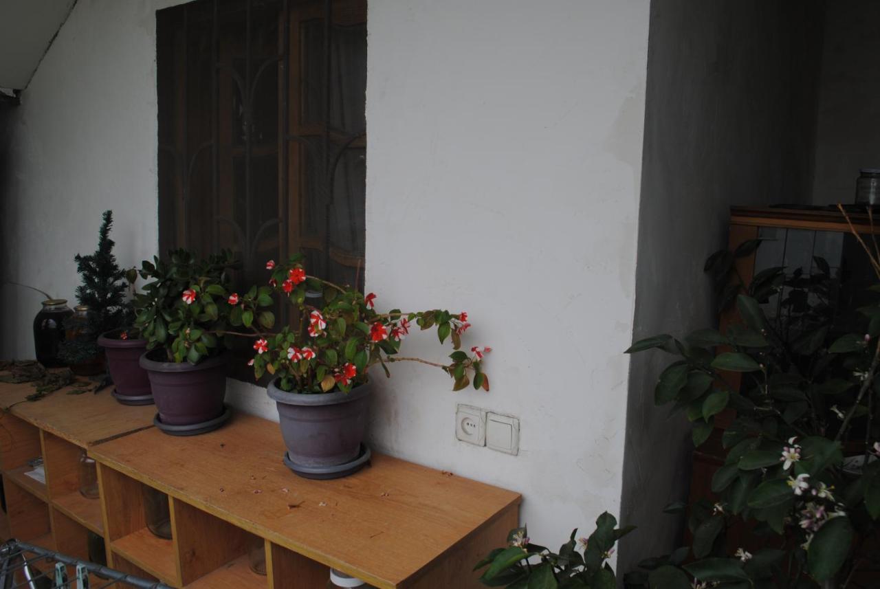 Family Guesthouse - Macharashvili Tbilisi Exterior foto